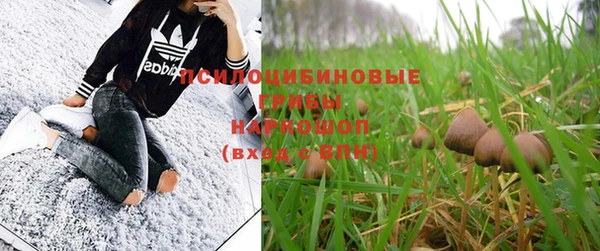 экстази Липки