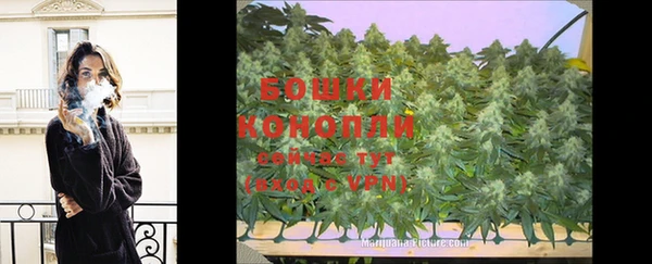 соль ск Лиски