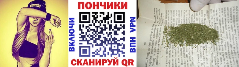 МАРИХУАНА план  Купить закладки  Цоци-Юрт 